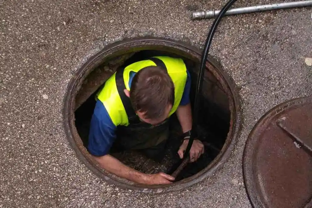 Povezanost zapušenja sa alergijama